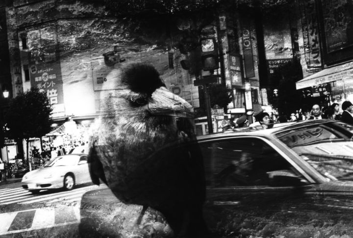 Christophe Guye Galerie Kosuke Warning 26