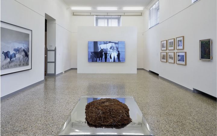Kunstmuseum Solothurn Hiroshi Sugimoto Christophe Guye Galerie