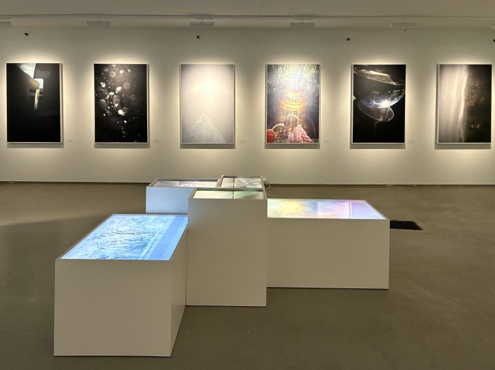 Christophe Guye Galerie Rinko Kawauchi Nusfjord 2026 006